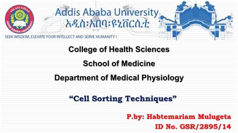 Image result for Cell Sorting Graphical Abstract