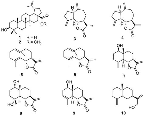 Isolation of Betulinic Acid, its Methyl Ester and Guaiane ...
