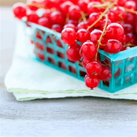 How to Store and Freeze Cranberries - Pesto & Margaritas