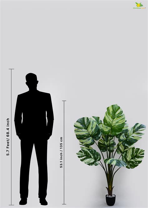 Artificial Monstera Tree Plant for Decor | 11 Leaves With Basic Pot ...