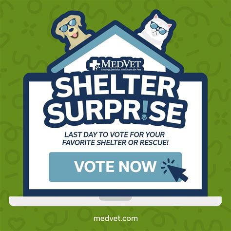 MEDVET SILICON VALLEY - San Jose CA - Hours, Directions, Reviews - Loc8NearMe