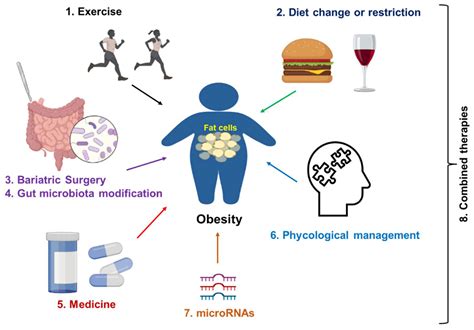 The Related Metabolic Diseases and Treatments of Obesity