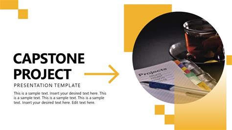 Capstone Project Examples Presentation 的图像结果