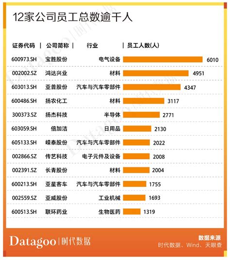 扬州的上市公司一览(名单,排名) - 爱企查