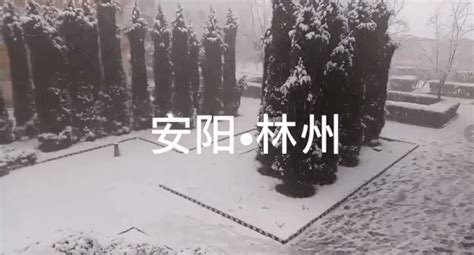 河南各地普降大雪，暴雪，看大雪过后我的家乡，宛如童话
