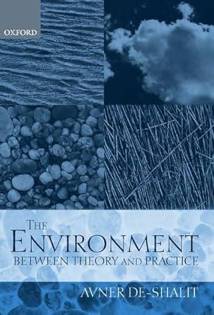 Buy The Environment Between Theory and Practice Book Online at Low ...
