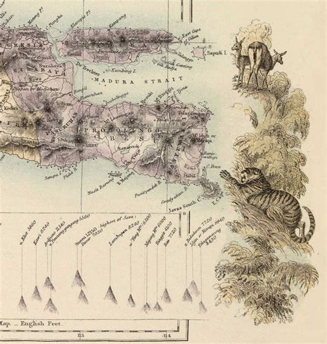 Old Map of the Dutch East Indies in 1872 by Fullarton - Borneo, Java, – The Unique Maps Co.