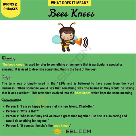 Bee's Knees Meaning