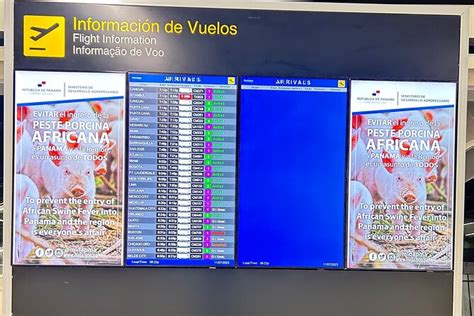 Image result for VIP Experience