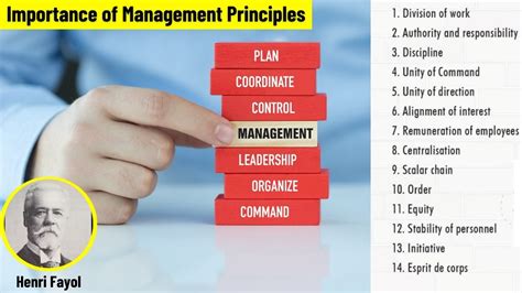 Image result for Principles of Management Explained