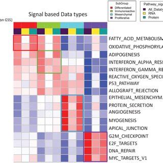 Signaling Data 的图像结果