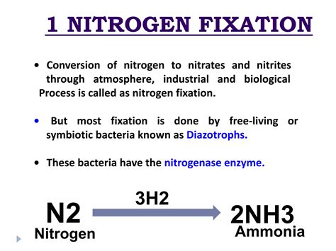 Nitrogen cycle by Himanshu Asati | PDF