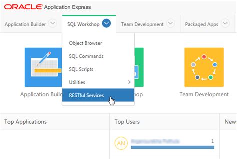 Oracle 12C Restful Tutorial 的图像结果