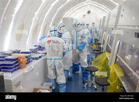 Image result for Nucleic Acid Structure