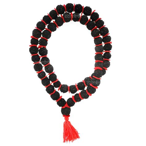 Edmiria 5 Mukhi Rudraksha Kantha Mala Big Beads | Five Face (Panch ...