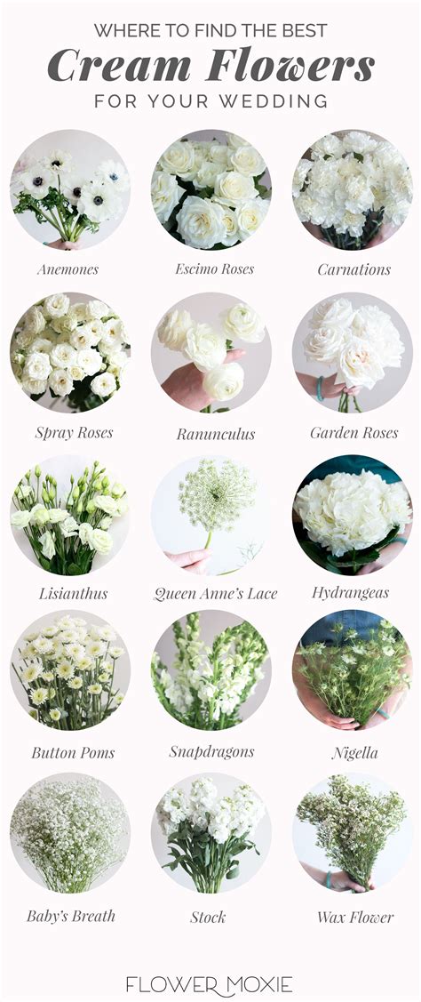 Cream and White Wedding Flowers | Bulk Fresh Wedding Flowers