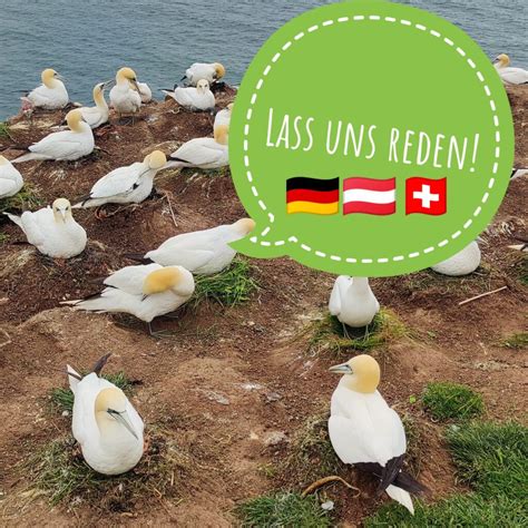 Image result for German Language Group Course