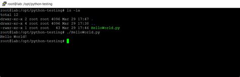 How to Enable Python 的图像结果