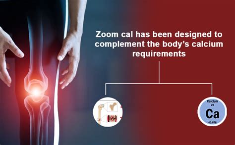 Buy POLY CARE Zoom-Cal Suspension which may helps in bone strengthening ...