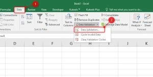 How to Make Options in Excel 的图像结果