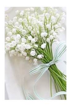 mughetto significato dei fiori il linguaggio dei fiori ed il loro significato infoperte mughetto significato dei fiori il linguaggio dei fiori ed il loro significato infoperte