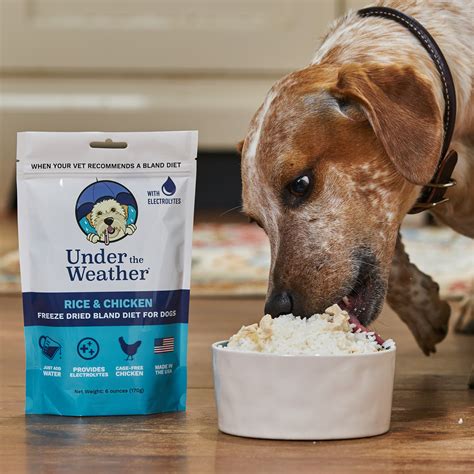 Chicken & Rice Bland Diet For Dogs - 2 Pack – Under the Weather