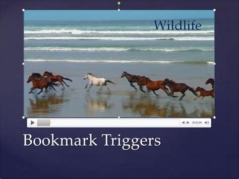 Image result for Animation PowerPoint 2010 Tutorial