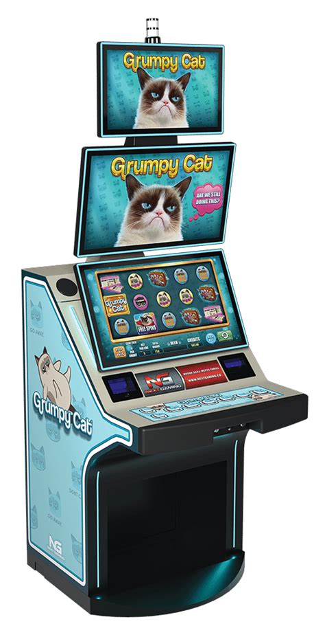 Image result for Grumpy Cat Game