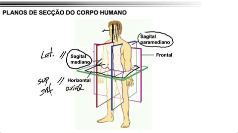 Image result for Algorithm for a Quick Sort