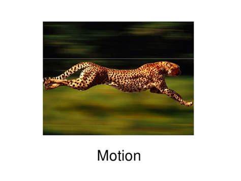 Describing Motion 的图像结果