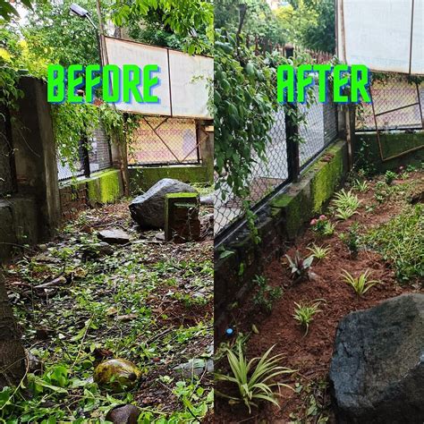 Mumbai: 16-Yr-Old Environmentalist Revives Half Acre Of Neglected Green ...