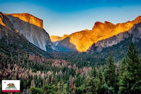 Famous States in USA 的图像结果