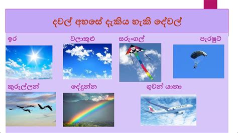 Image result for Visual Comparison of Classification Algorithms