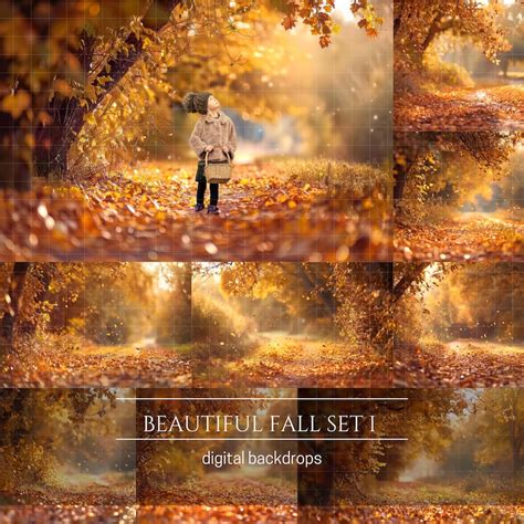 Digital Backdrop 的图像结果