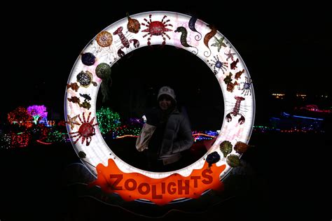 Point Defiance Zoo Lights — Finding the Extraordinary in the Ordinary