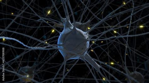 Image result for Create Minecraft Human Nerve System