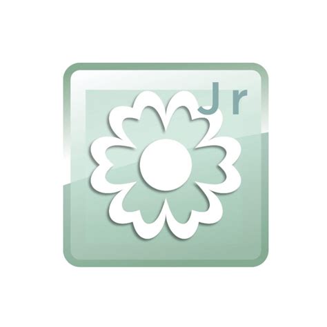 Image result for Janome Digitizer Jr Tutorial