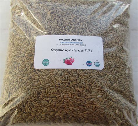 Amazon.com : Hulled Barley 5 Pounds (five lbs) (dehulled) USDA ...