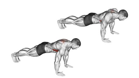 How To Do Scapula Push Ups And Its Other Variations