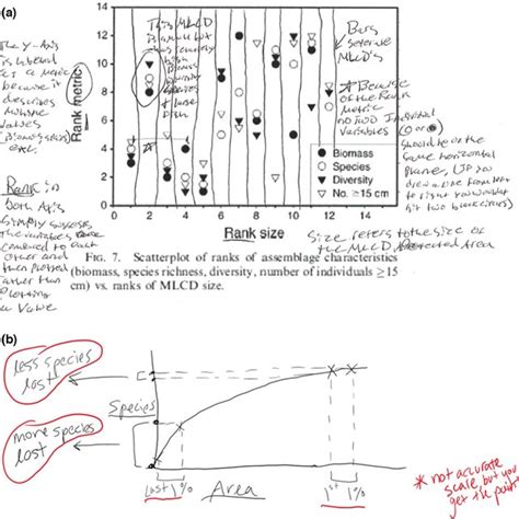 Image result for Concept Map Example