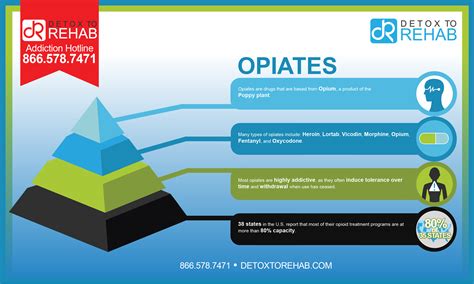 Opiates Infographic - Detox To Rehab