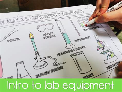Image result for How to Draw a Lab