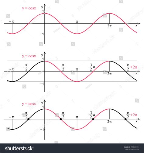Image result for Cosine Graph On Grid