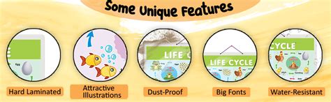 Set of 2 My World of Flags and Life Cycle Early Learning Educational ...