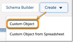 Image result for How to Create Custom Object in Salesforce