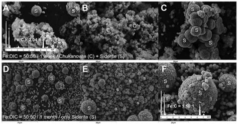 Controls on the Formation and Stability of Siderite (FeCO3) and ...