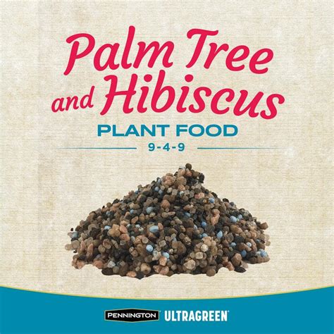 Buy Ultragreen 5 lbs. Palm Tree and Hibiscus Plant Food 9-4-9 Online at ...