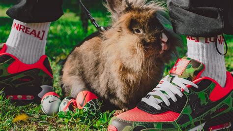 A Duck Camo Easter: sneakerhead Easter eggs | FTSHP blog