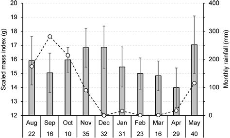 Reproductive Ecology of Wrinkle-Lipped Free-Tailed Bats Chaerephon ...