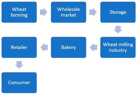 Wheat Value Chains and Vertical Price Transmission in South Africa: A ...